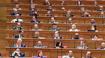 مصر لم تتعامل معنا كأشقاء فقط بل كإخوة.. والشعب الليبي لن ينسى مواقفها