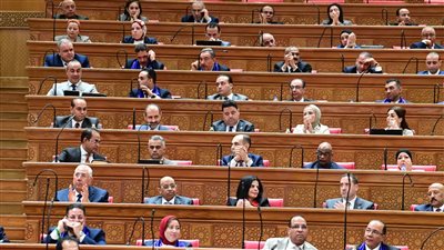 مصر لم تتعامل معنا كأشقاء فقط بل كإخوة.. والشعب الليبي لن ينسى مواقفها