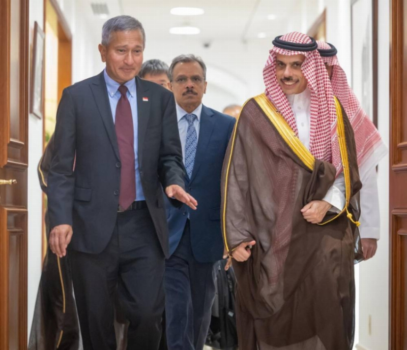 وزير الخارجية ونظيره السنغافوري يؤكدان على ضرورة دعم الجهود الرامية إلى حماية الممرات المائية وضمان استقرارها