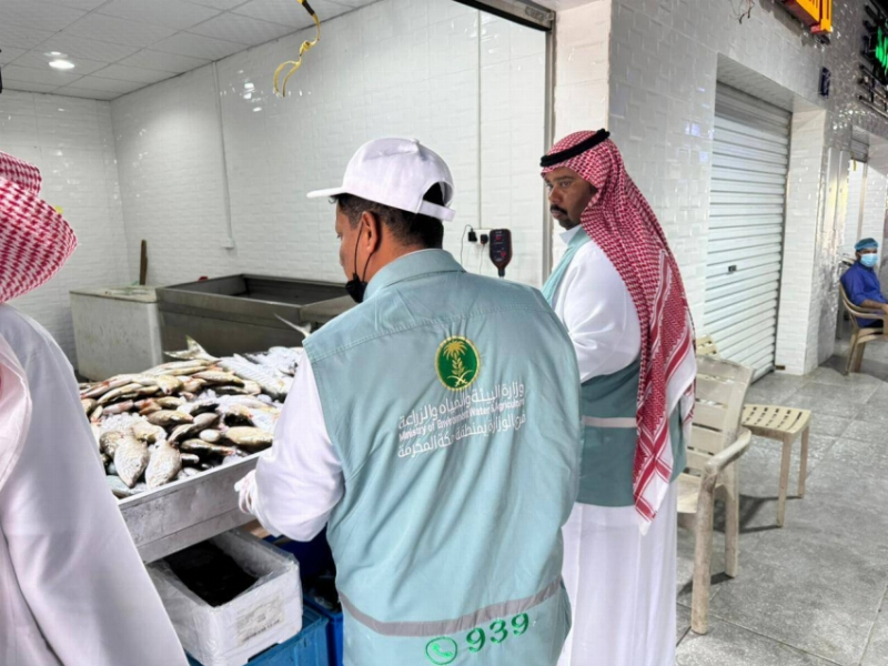 جولات تفتيشية على سوق السمك بالقنفذة