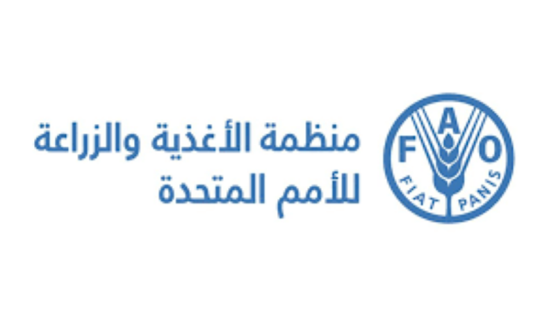 الفاو: أسعار الغذاء العالمية تواصل ارتفاعها للشهر الثالث على التوالي