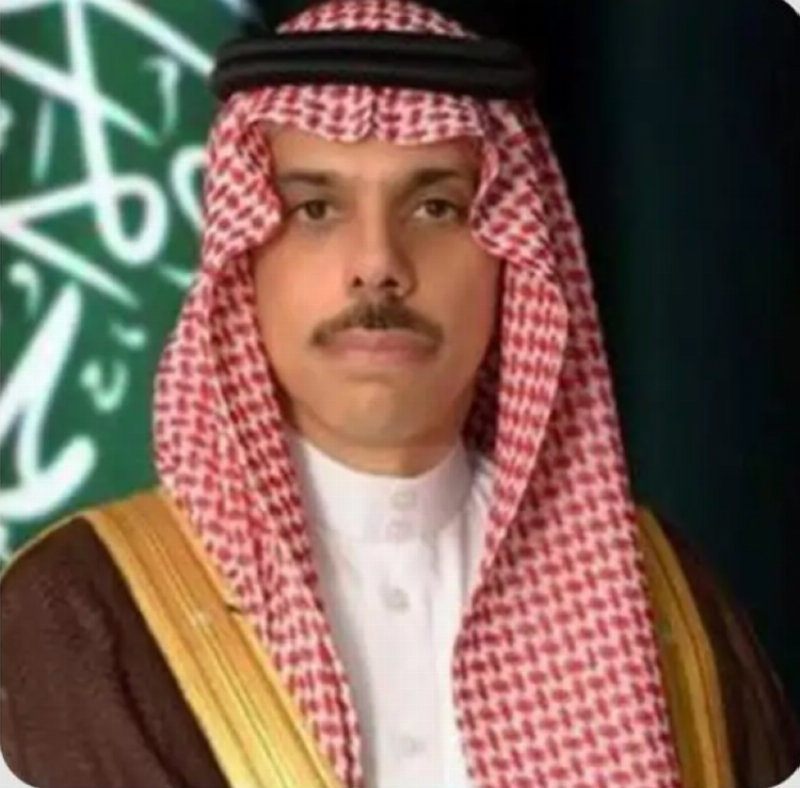 وزير الخارجية ونظيره المصري يبحثان مستجدات الأوضاع في المنطقة