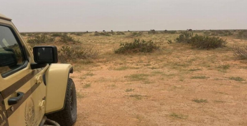ضبط مواطن خالف نظام البيئة بالرعي في محمية الملك عبدالعزيز