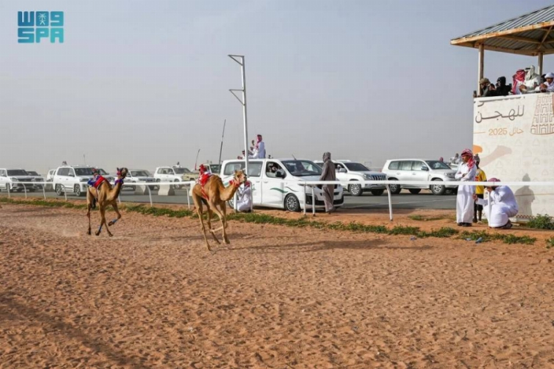 سباق المفاريد السنوي بميدان حائل للهجن يشهد تنافسًا قويًا