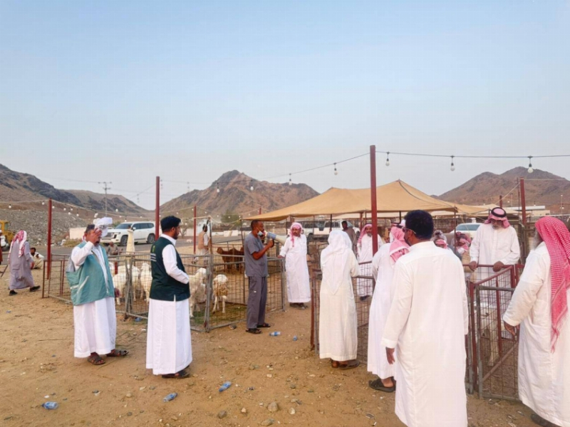 بيئة الجموم تنفذ مبادرة توعوية لتعزيز الوعي باختيار الأضحية السليمة