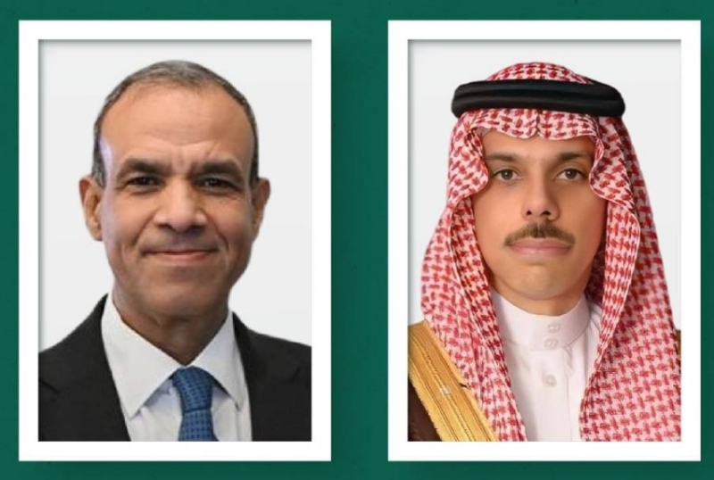 وزير الخارجية ونظيره المصري يبحثان مجريات الأوضاع الإقليمية