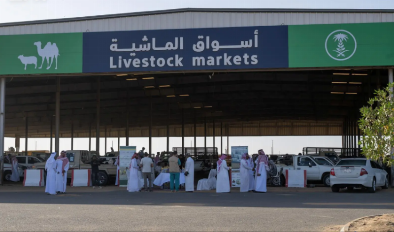 منظومة رقابية وتشغيلية تعزّز جاهزية أسواق المواشي والمسالخ بمنطقة تبوك