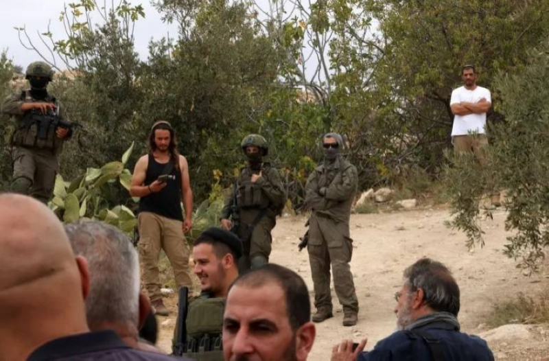 إصابة (4) فلسطينيين في اعتداءات المستعمرين جنوب الضفة