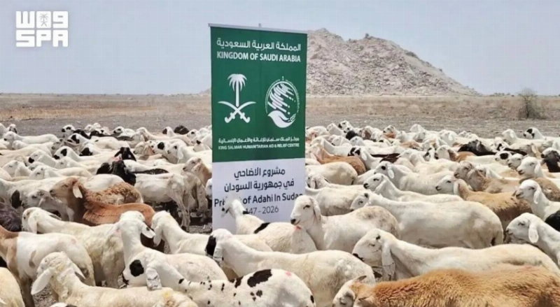 “سلمان للإغاثة” يُجري الفحص البيطري للأضاحي تمهيدًا لتوزيعها في (4) ولايات سودانية