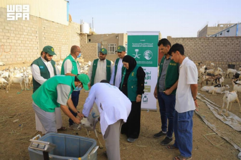 فريق مركز الملك سلمان للإغاثة يطّلع على جاهزية مشروع لحوم الأضاحي في مأرب