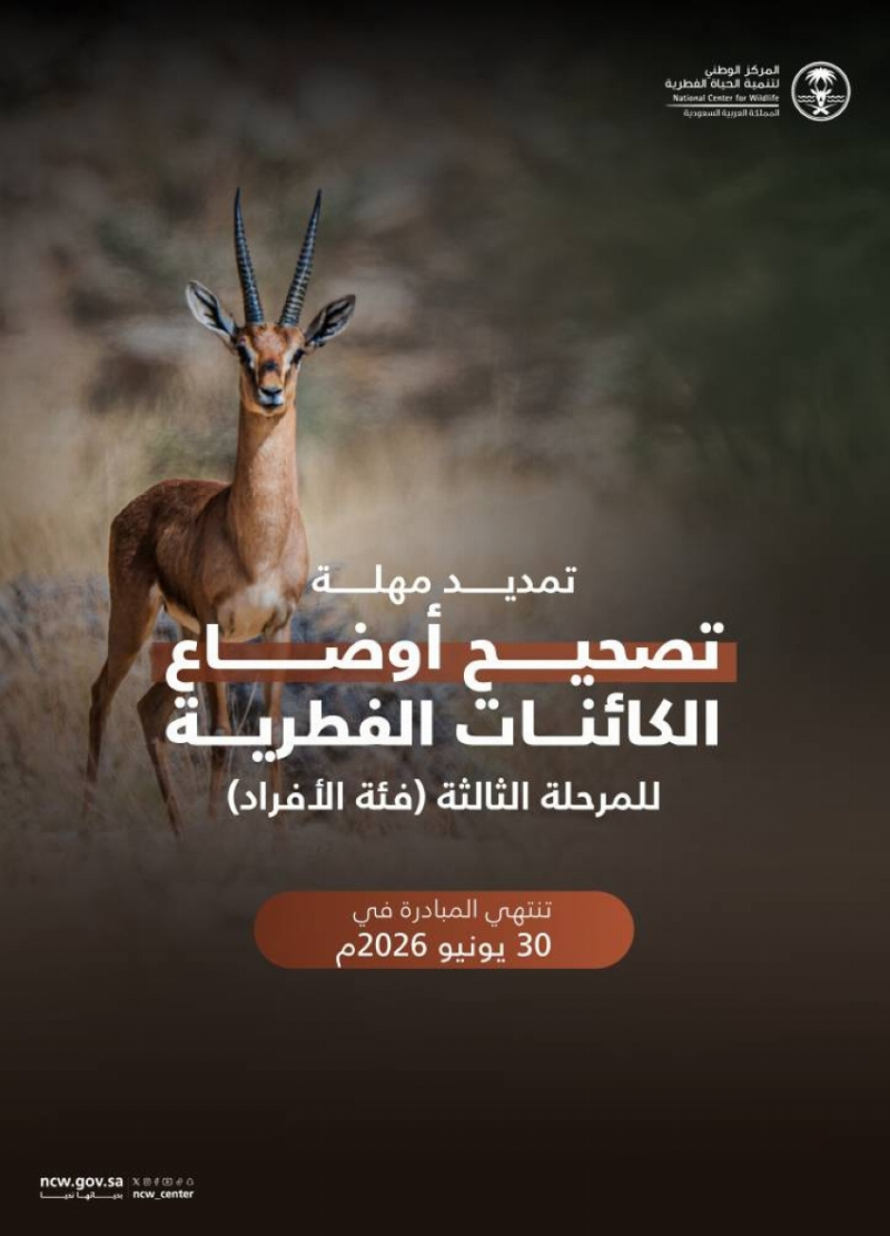 تمديد المرحلة الثالثة من مبادرة تصحيح أوضاع الكائنات الفطرية حتى 30 يونيو المقبل