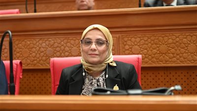 القاهرة وباريس تقودان تحالفًا استراتيجيًا لحماية أمن المتوسط