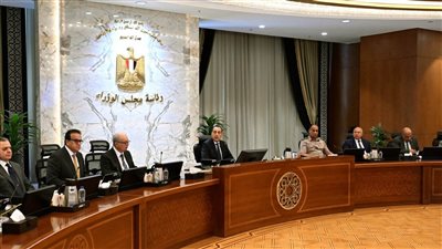 رئيس الوزراء يوجه بضرورة التزام جميع الوزارات بإجراءات الترشيد الحكومي