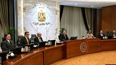 قرارات مجلس الوزراء اليوم الأربعاء