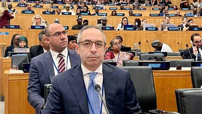 ​مصر تشارك في المنتدى الدولي الثاني لمراجعة تنفيذ أهداف ميثاق الهجرة العالمي