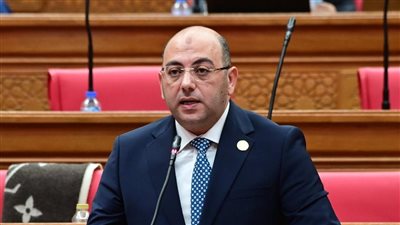 مصر تدعم المؤسسات الوطنية والحوار السياسي الليبي برعاية القاهرة