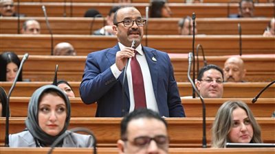 تعديل قانون المعاشات يؤكد اهتمام القيادة السياسية بملف الحماية الاجتماعية