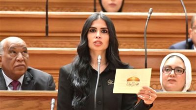 هايدي المغازي تطالب بتقييم نتائج مبادرة افتح حسابك في مصر قبل التوسع في مرحلتها الثانية