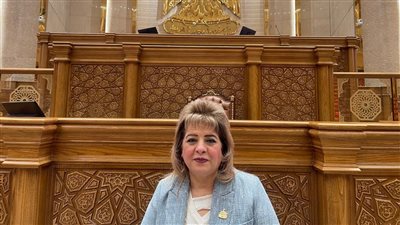 تحرك برلماني لمواجهة «جشع المنصات».. طلب إحاطة بشأن «الغلاء الإلكتروني»وضبط فوضى التسعير عبر السوشيال ميديا
