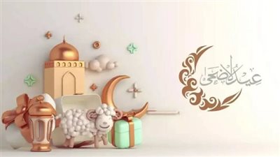 متحدث الحكومة يكشف استعدادات مكثفة لعيد الأضحى واستقرار في الأسواق وتوافر السلع