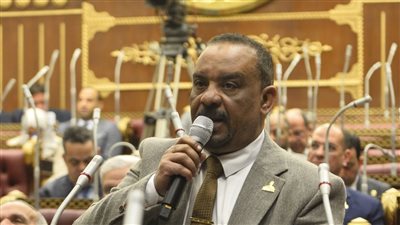 ما يحدث ملحمة إنتاجية تعزز أمن مصر الغذائي