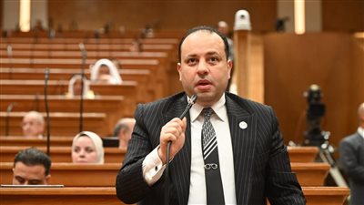 ربط المعاشات بالتضخم ضرورة لحماية المواطنين من غلاء الأسعار
