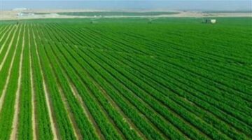 مشروع الدلتا الجديدة نقلة نوعية لإعادة تصميم منظومة الأمن الغذائي