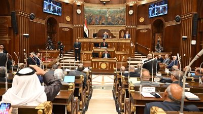 مجلس الشيوخ يناقش تأمين الثانوية العامة وتطوير مطار سفنكس ومصر للطيران الاثنين