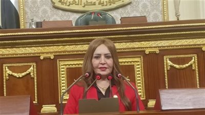 جيهان البيومي تطالب بباقات إنترنت مخفضة لطلاب المدارس بالتعاون بين التعليم والاتصالات