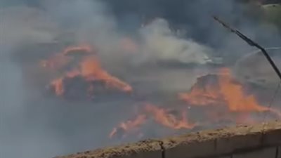 الدفع بـ ١٠ سيارات اطفاء للسيطرة على حريق شونة كتان بالغربية