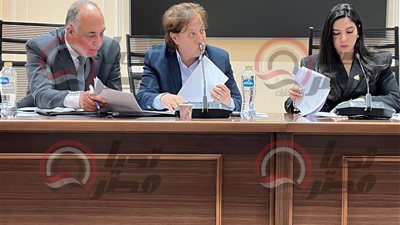 لجنة الشباب تطالب بإلغاء رسوم النظافة على الأندية ومراكز الشباب وثروت سويلم: الرسالة وصلت