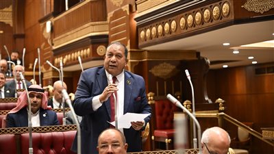 مركز التوزيع اللوجستي العالمي يعزز مكانة المنطقة الاقتصادية لقناة السويس على خريطة التجارة الدولية