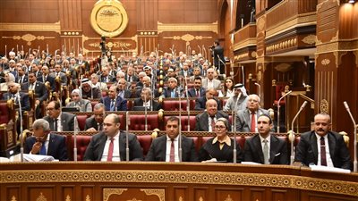 الاثنين المقبل.. الشيوخ تناقش إنشاء كوبري جديد ومحاور مرورية ومشروعات مياه وصرف صحي بالمحافظات