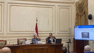 برئاسة النائب الدكتور محمد كمال.. لجنة الشؤون الخارجية بالشيوخ توصي بدعم رقمنة وأرشفة وثائق الخارجية وإتاحتها للباحثين والمؤرخين