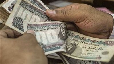 وزارة العمل تعلن توفير 4504 فرصة عمل جديدة في 14 محافظة خلال يونيو 2026