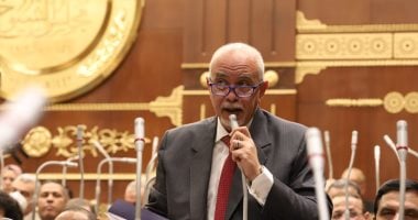 حازم الجندى: توجيهات الرئيس السيسي لتدعيم الشبكة القومية للكهرباء ترسم مستقبل الطاقة