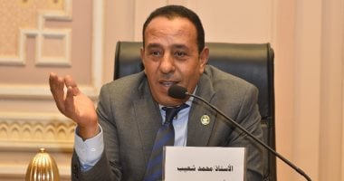 النائب محمد شعيب: زيادة المعاشات تؤكد تصدر المواطن المصرى أولويات الرئيس