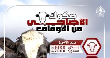 غدًا.. «الأوقاف» تبدأ توزيع أنصبة صكوك المضحين بـ4 محافظات