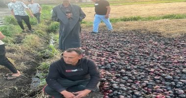 حريق ضخم يلتهم 15 فدان بصل فى إحدى قرى الدقهلية.. فيديو وصور