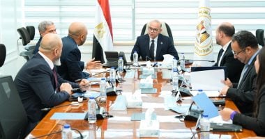 وزير الاستثمار يبحث مع دى بى ورلد تعزيز التكامل التجارى مع الأسواق الأفريقية