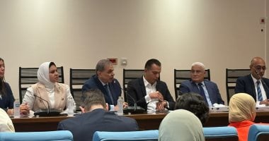 حسين غيتة: انتهاء أزمة بطء سيستم المعاشات بالكامل بحلول 15 يوليو