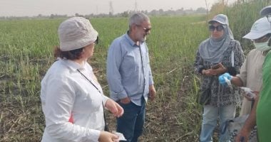 زراعة الأقصر تستعرض حصاد الأنشطة الميدانية والإنتاجية وخدمة المزارعين