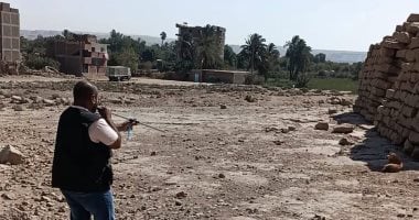 تحصين الكلاب الحرة للحد من الأمراض بأسوان