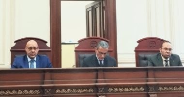 الإعدام لمتهمين قتلا صديقهما فى العجمي بالإسكندرية.. فيديو