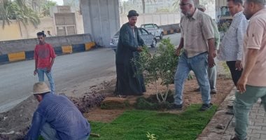 زراعة أحواض الزهور بشارع مشرفة ببولاق الدكرور ضمن تحسين المظهر الحضارى.. صور