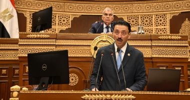 النائب محمد رزق: 3.74 مليون شركة تعمل بقطاع المشروعات المتوسطة والصغيرة