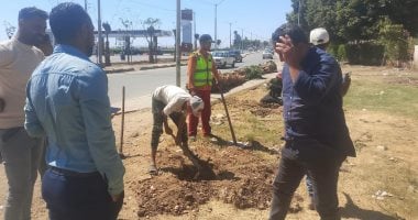 محافظ أسيوط: استمرار أعمال رفع كفاءة حديقة صينية الوليدية بحي شرق