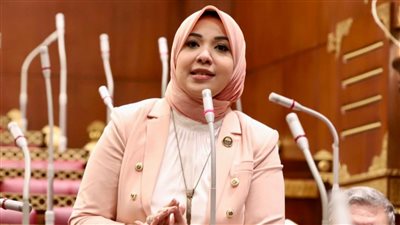دينا هلالي تتقدم بمقترح لربط دورات التأهيل الأسري بإجراءات الزواج الرسمية لدعم استقرار الأسرة المصرية