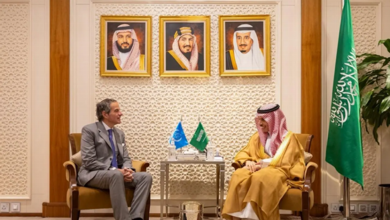 وزير الخارجية ومدير وكالة الطاقة الذرية يستعرضان علاقات التعاون وخصوصًا ما يتعلق بمنع انتشار الأسلحة النووية