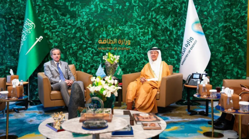 وزير الطاقة ومدير الوكالة الدولية للطاقة الذرية يبحثان سبل تعزيز التعاون الفني والتقني
